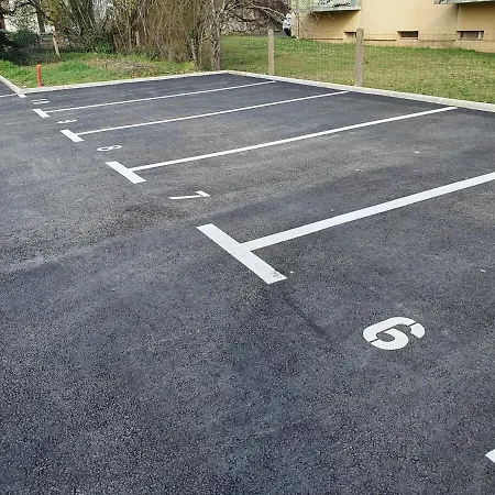 Eucalyptus - Centre - Albi