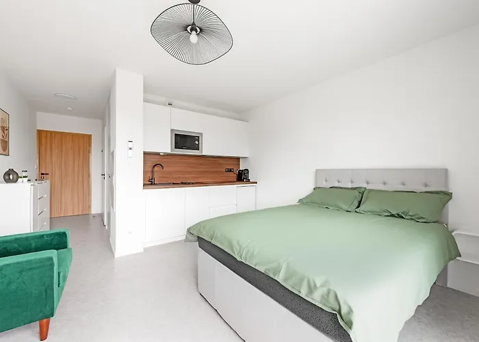 Eucalyptus - Centre - Albi