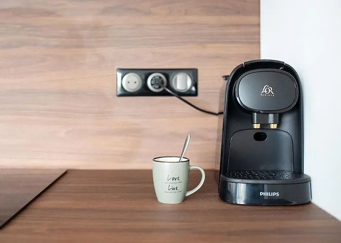 Eucalyptus - Centre - * Albi