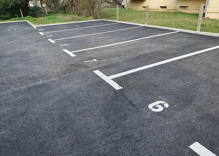 Eucalyptus - Centre - Albi